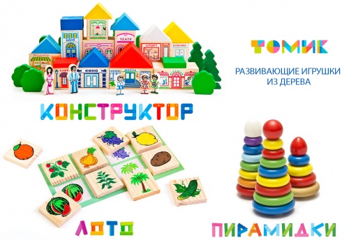 Развивающие деревянные игрушки "Томик"